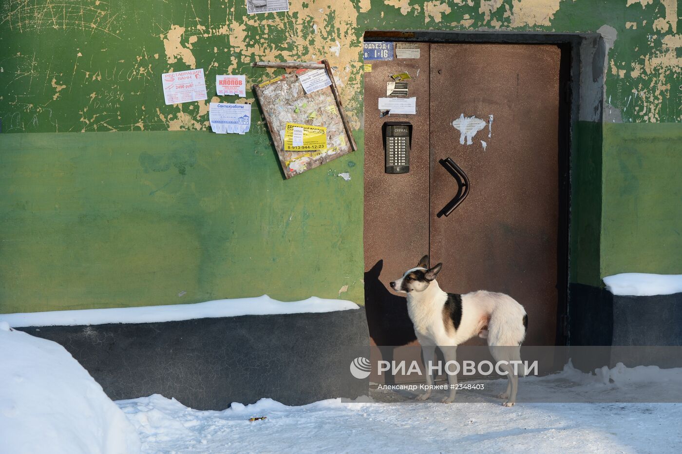 Зима в Новосибирске