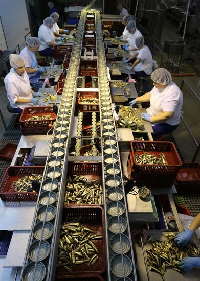 Производство консервов из шпрот в Калининградской области