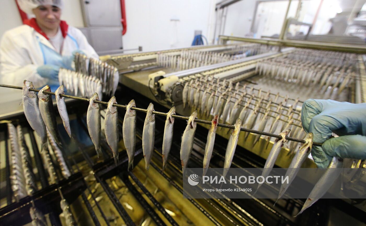 Производство консервов из шпрот в Калининградской области