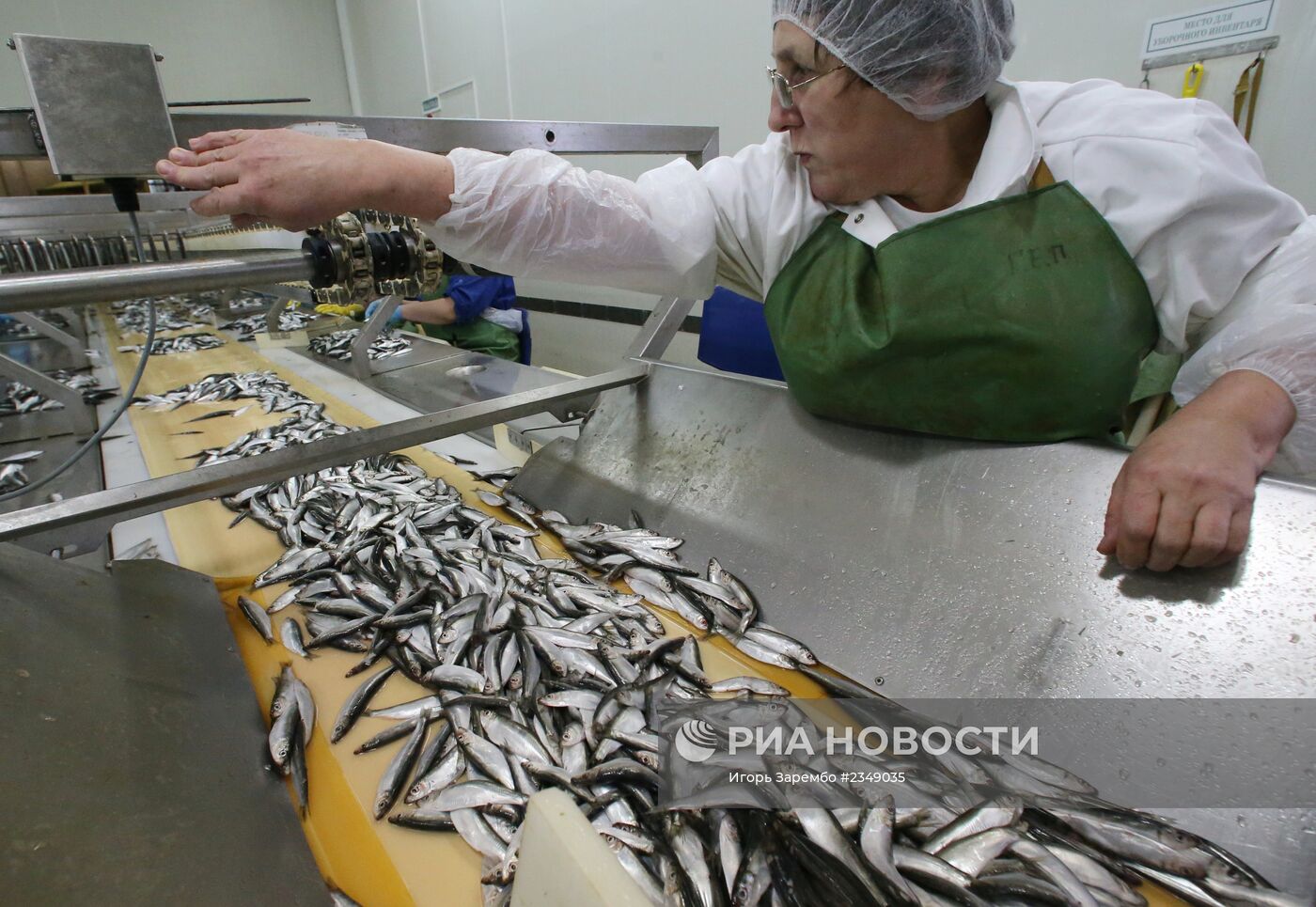 Производство консервов из шпрот в Калининградской области