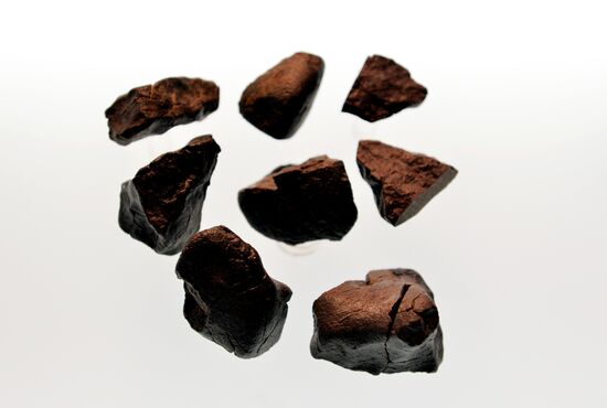 Новые экспонаты метеоритной коллекции Московского планетария