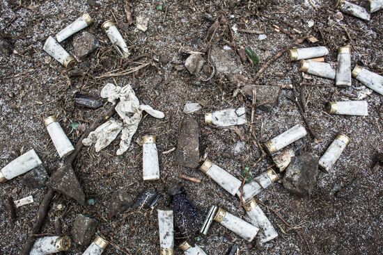 Ситуация в Киеве