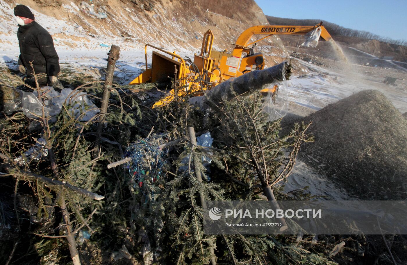 Утилизация новогодних елок во Владивостоке