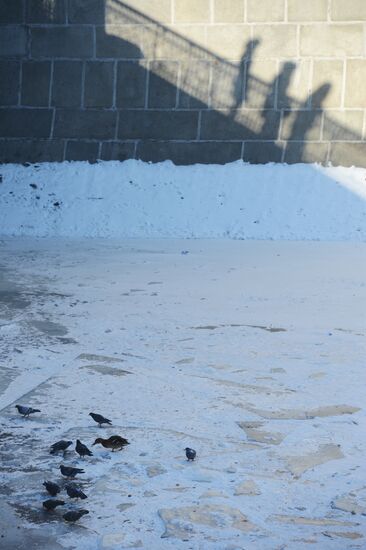 Морозы в России