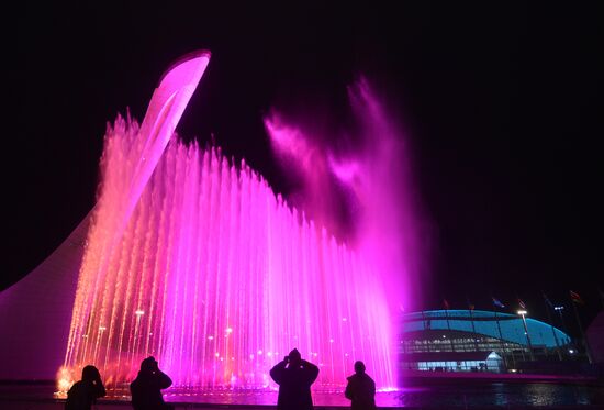 В Олимпийском парке в Сочи на репетиции открытия XXII Олимпийских зимних игр