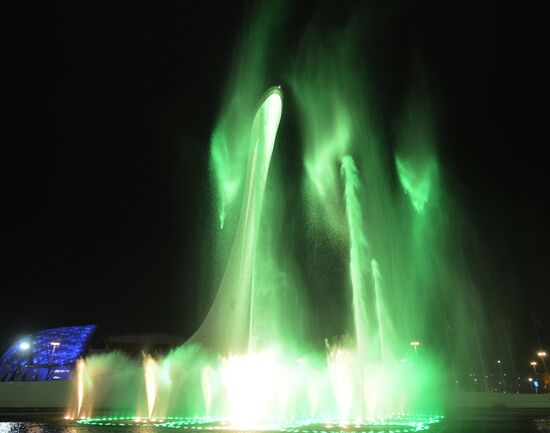 В Олимпийском парке в Сочи на репетиции открытия XXII Олимпийских зимних игр