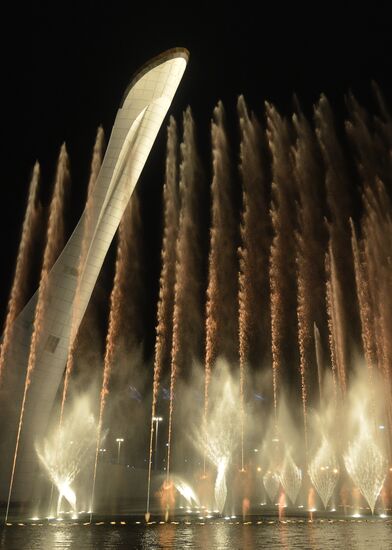 В Олимпийском парке в Сочи на репетиции открытия XXII Олимпийских зимних игр