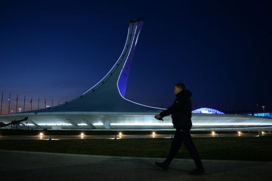 Зрители прибывают на церемонию открытия XXII зимних Олимпийских игр
