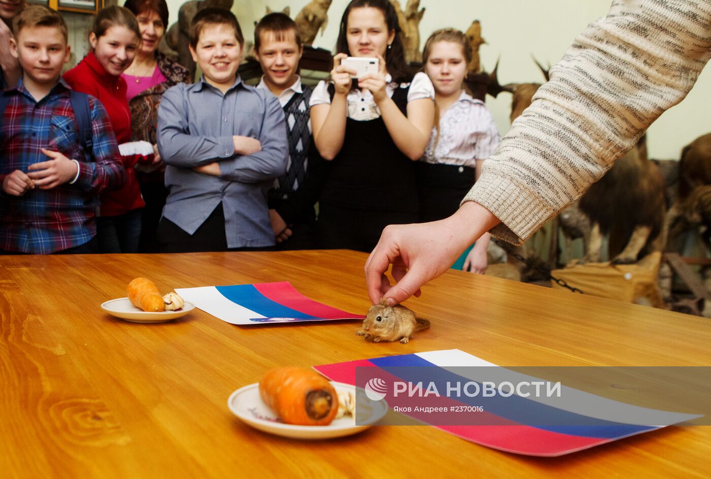 Животные предсказывают результат хоккейного матча Россия - Словения на Олимпиаде в Сочи