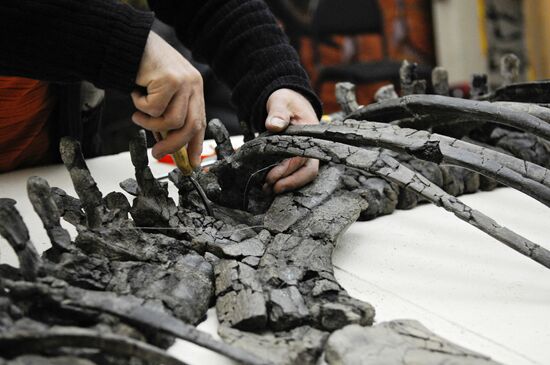 В Красноярске собрали скелет древнего стегозавра
