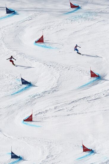 Олимпиада 2014. Сноуборд. Женщины. Параллельный гигантский слалом
