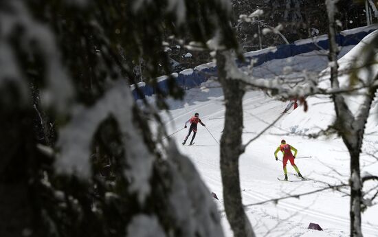 Олимпиада 2014. Лыжные гонки. Мужчины. Командный спринт