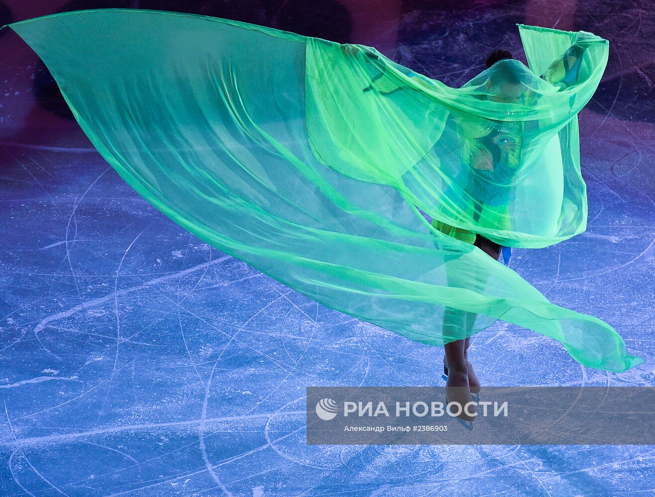 Олимпиада 2014. Фигурное катание. Показательные выступления
