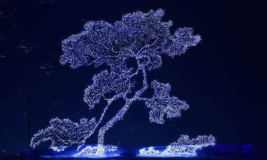 Олимпиада 2014. Церемония закрытия