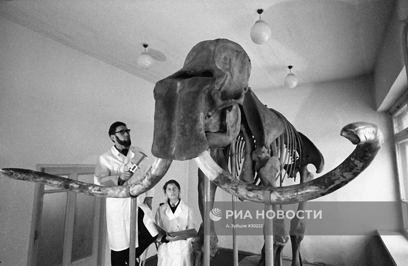 МАМОНТ ИССЛЕДОВАНИЕ