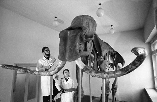 МАМОНТ ИССЛЕДОВАНИЕ