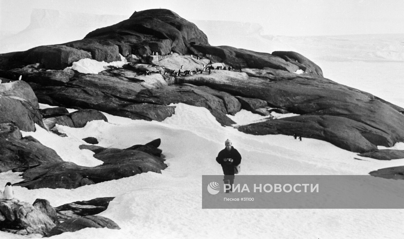 АНТАРКТИДА ЛЕД СНЕГ СКАЛЫ