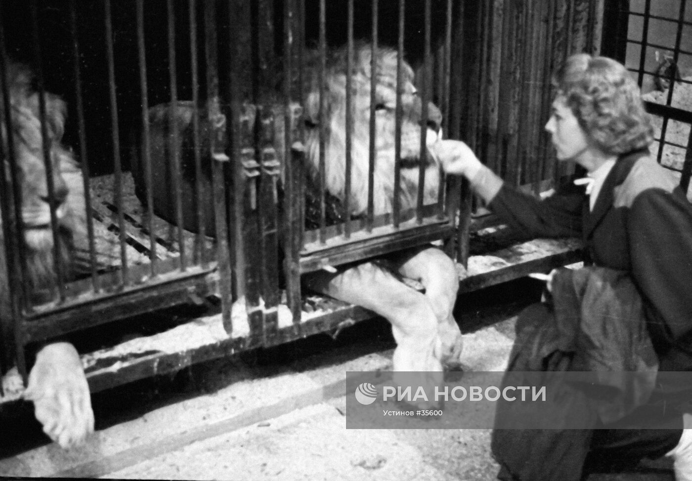 БУГРИМОВА УКРОТИТЕЛЬНИЦА ЛЕВ ЦИРК