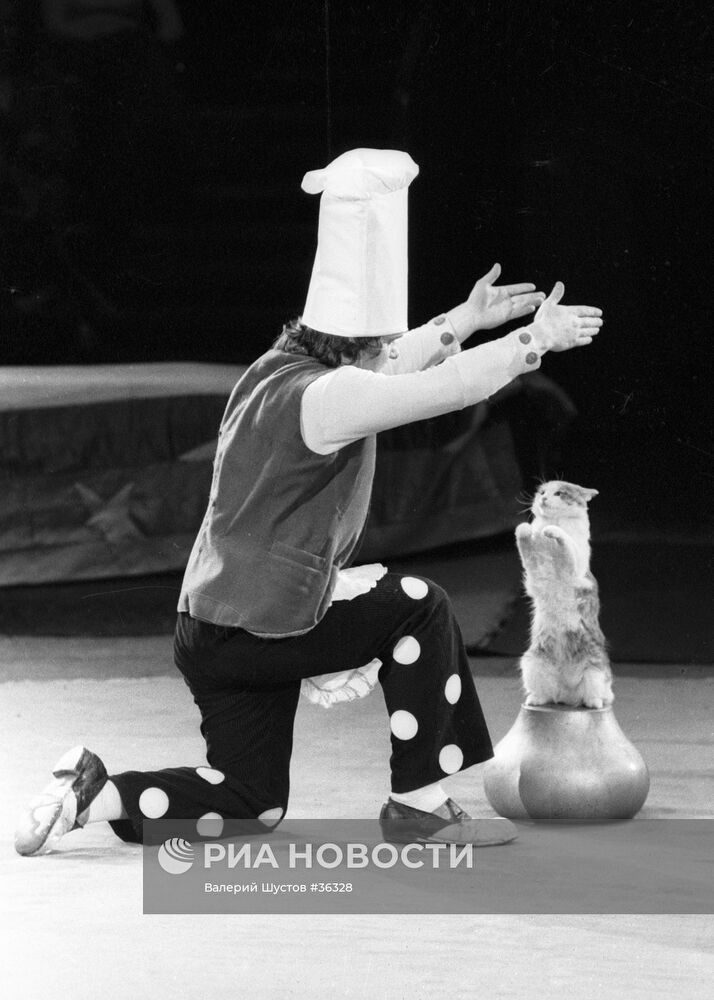 ЦИРК КУКЛАЧЕВ