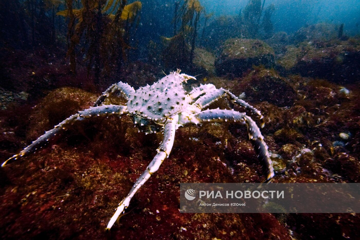 Баренцево море. Териберская бухта