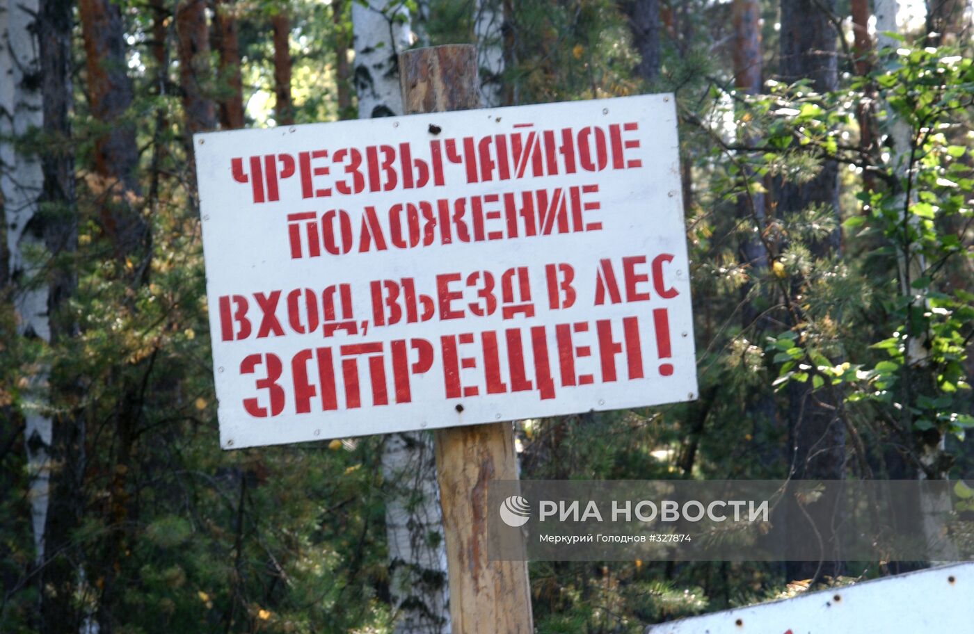 Запрет на посещение лесов из-за высокой пожароопасности