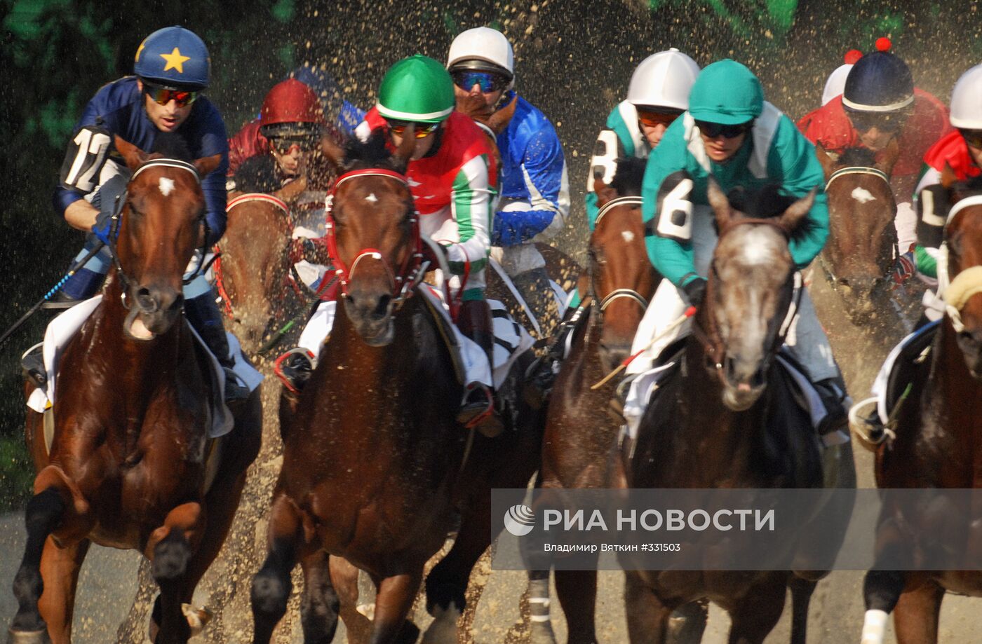 V раунд Russian Breeders' Cup