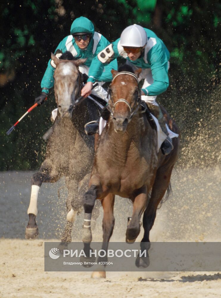 V раунд Russian Breeders' Cup