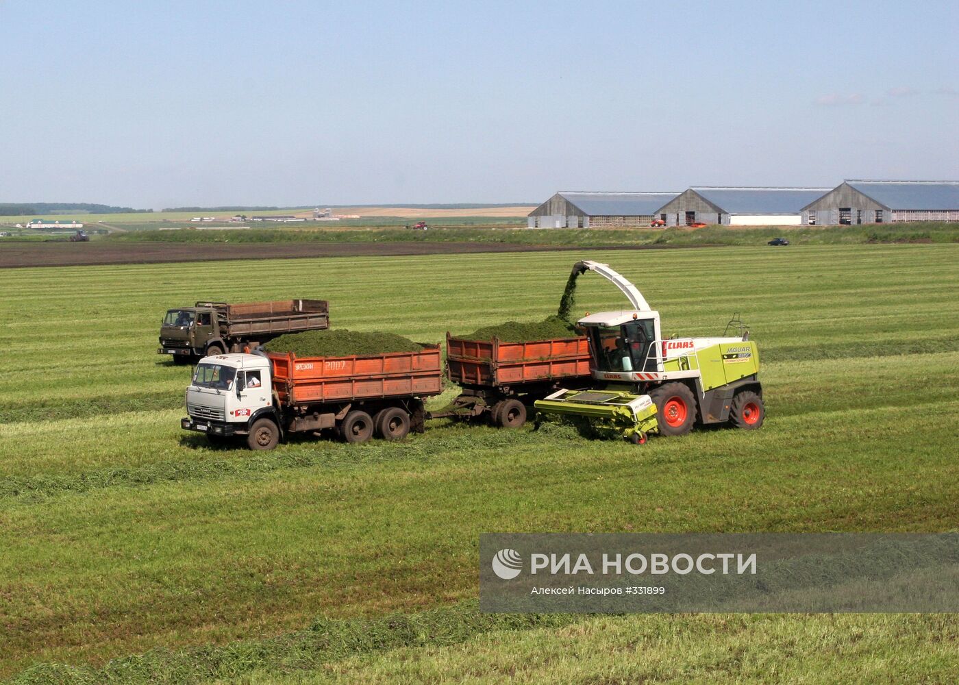 Заготовка кормов