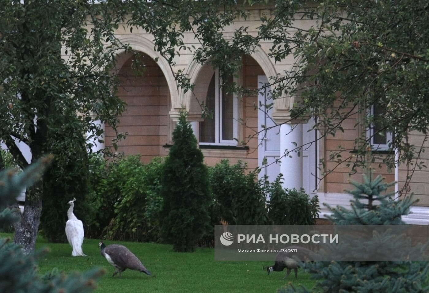 Резиденция президента Чечни Р.Кадырова в Гудермесе