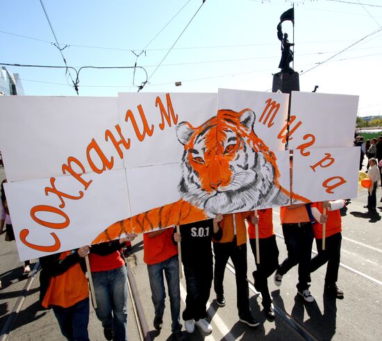 "День тигра" во Владивостоке