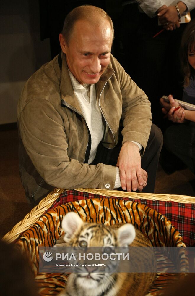Владимир Путин представил подаренного тигренка