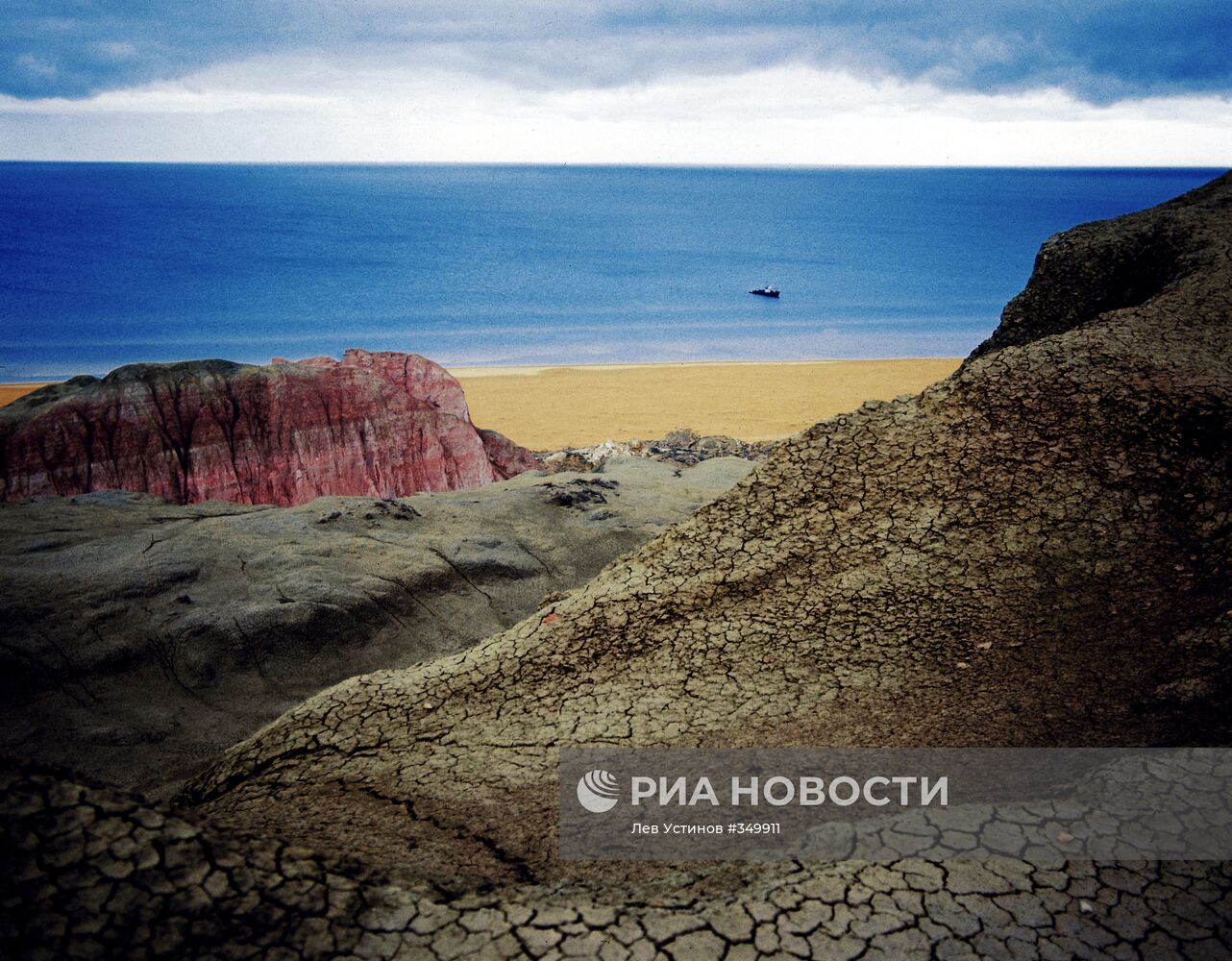 Берег Аральского моря