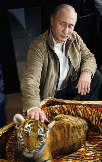 Владимир Путин представил подаренного тигренка