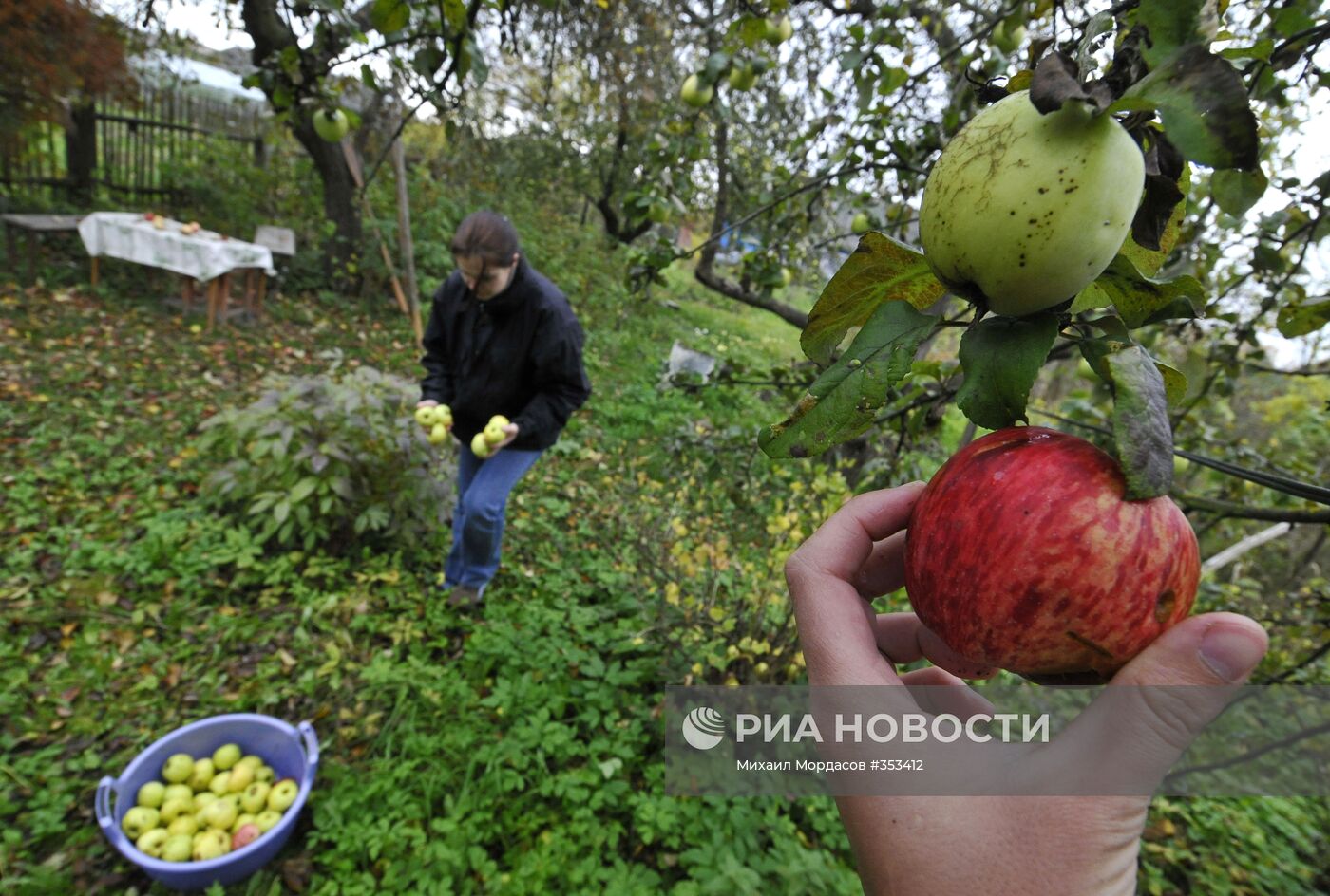 Завершение дачного сезона