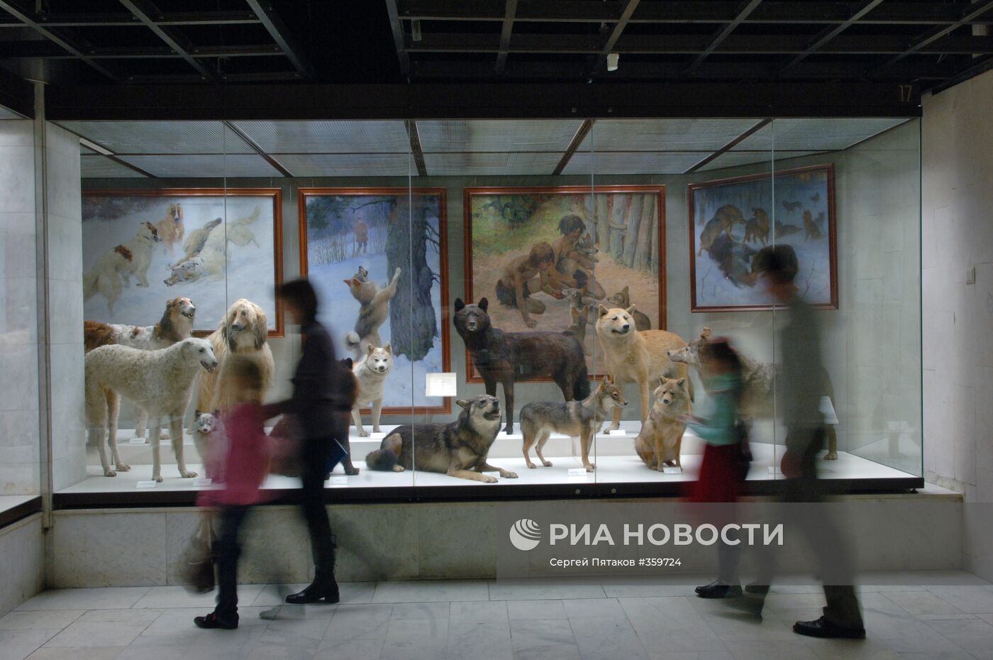Экспозиция Государственного Дарвиновского музея