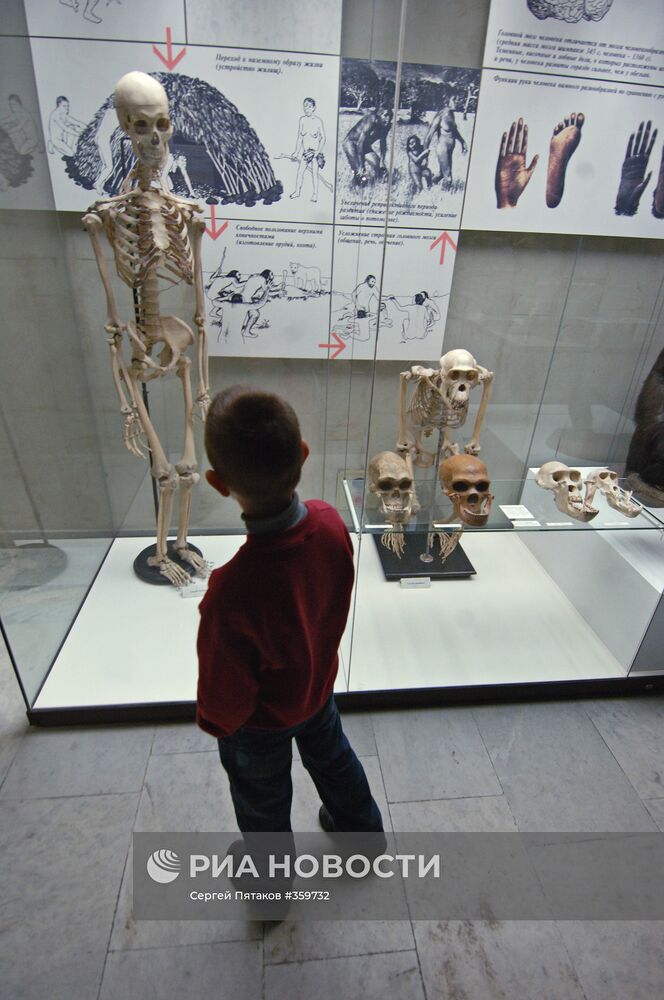 Экспозиция Государственного Дарвиновского музея