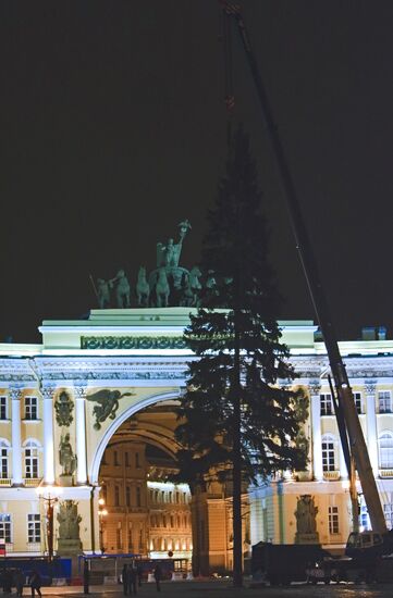 Главную городскую елку установили в Санкт-Петербурге