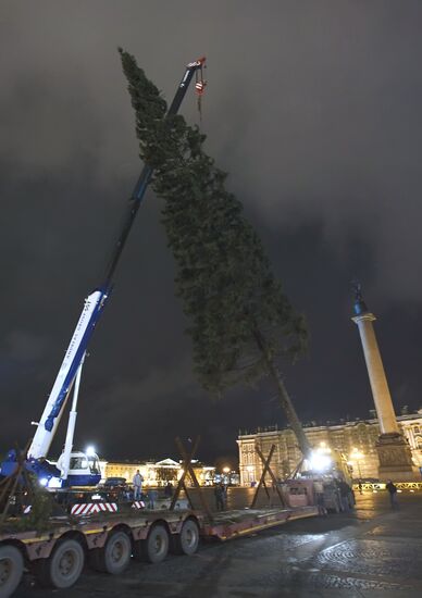 Главную городскую елку установили в Санкт-Петербурге