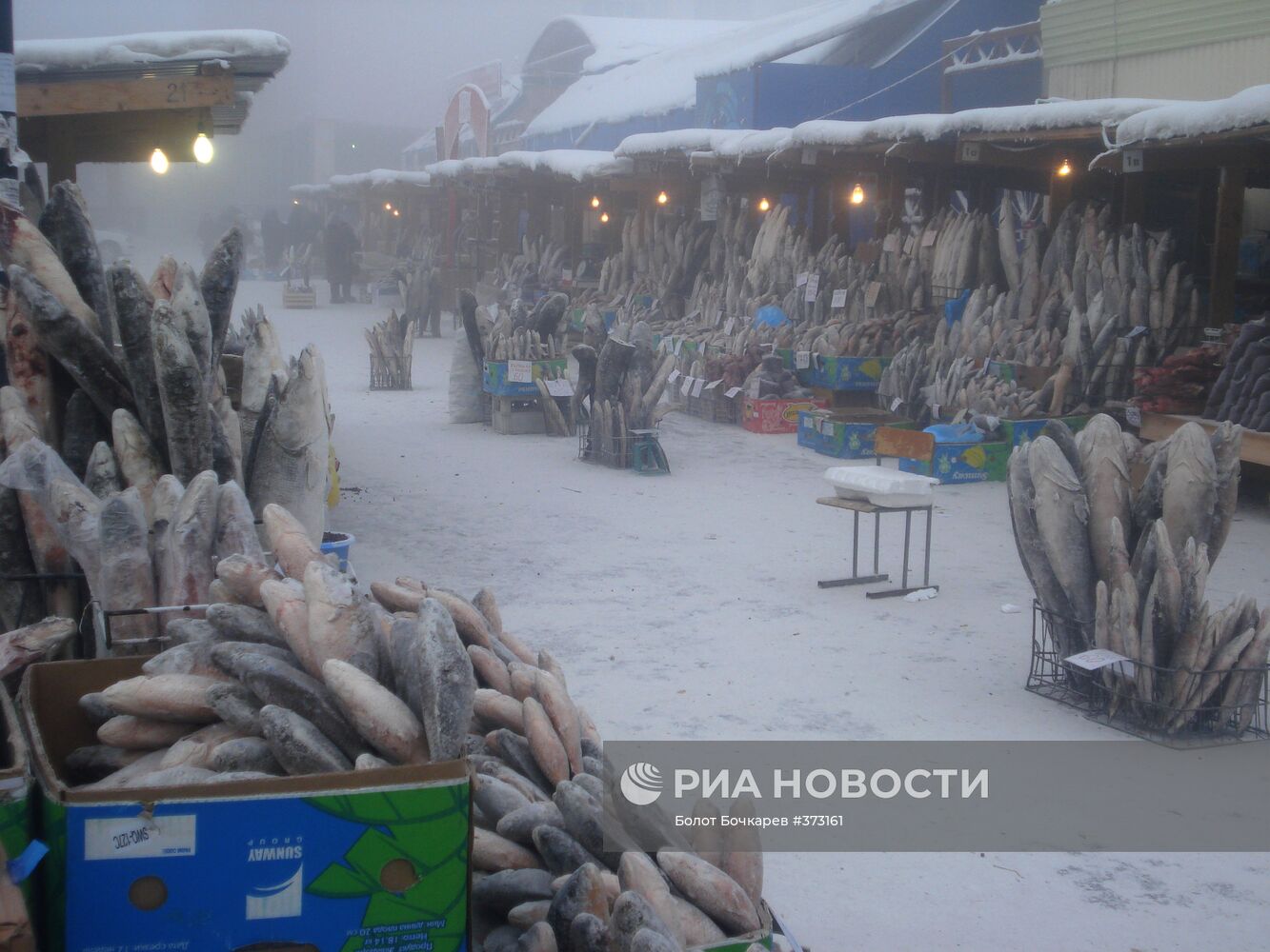 На рыбном рынке в Якутске