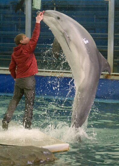Дельфинарий Московского Зоопарка