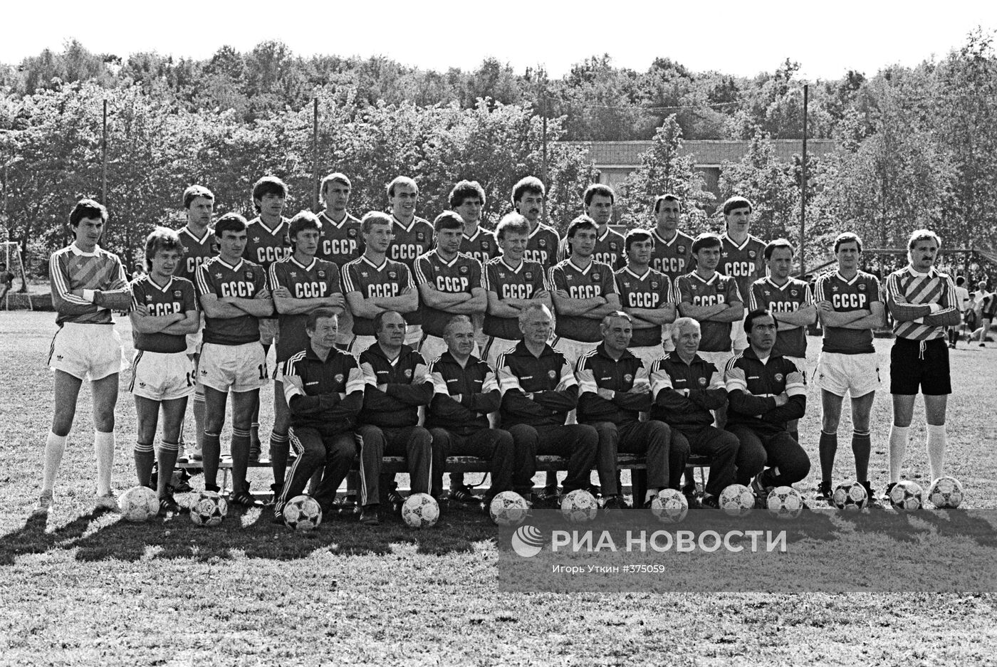 Сборная команда СССР по футболу 1988 года