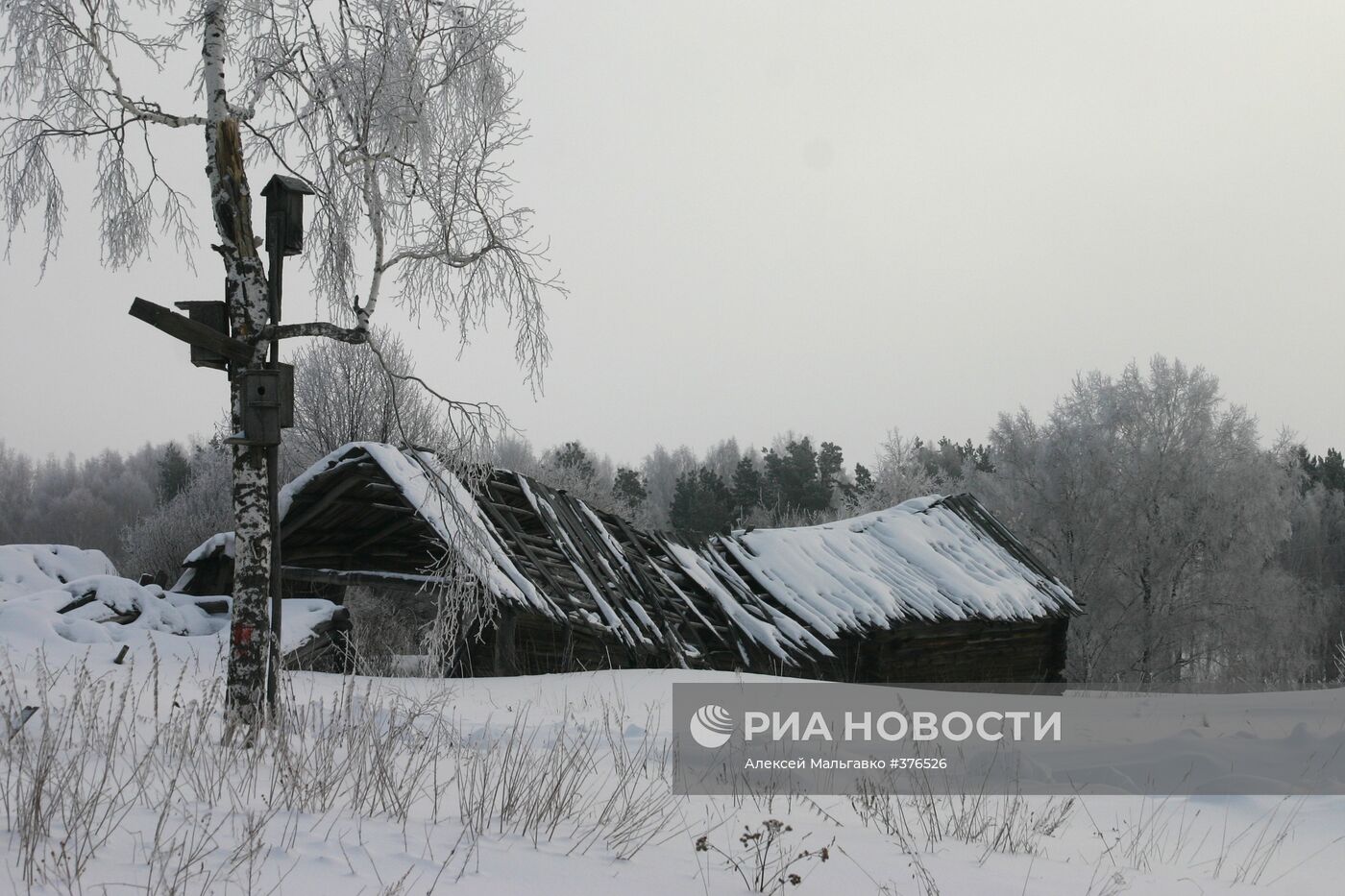 Заброшенная деревня Сыщиково в Тарском районе Омской области