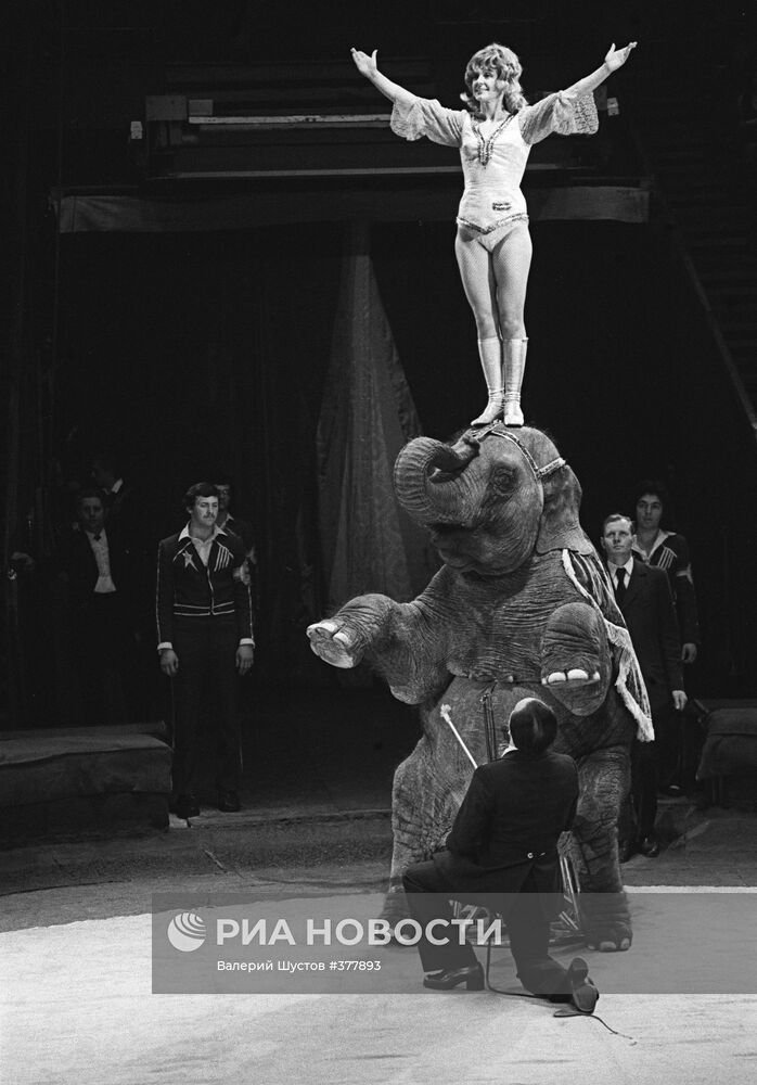 Выступление дрессировщицы Долорес Запашной