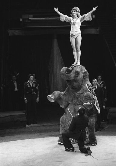 Выступление дрессировщицы Долорес Запашной