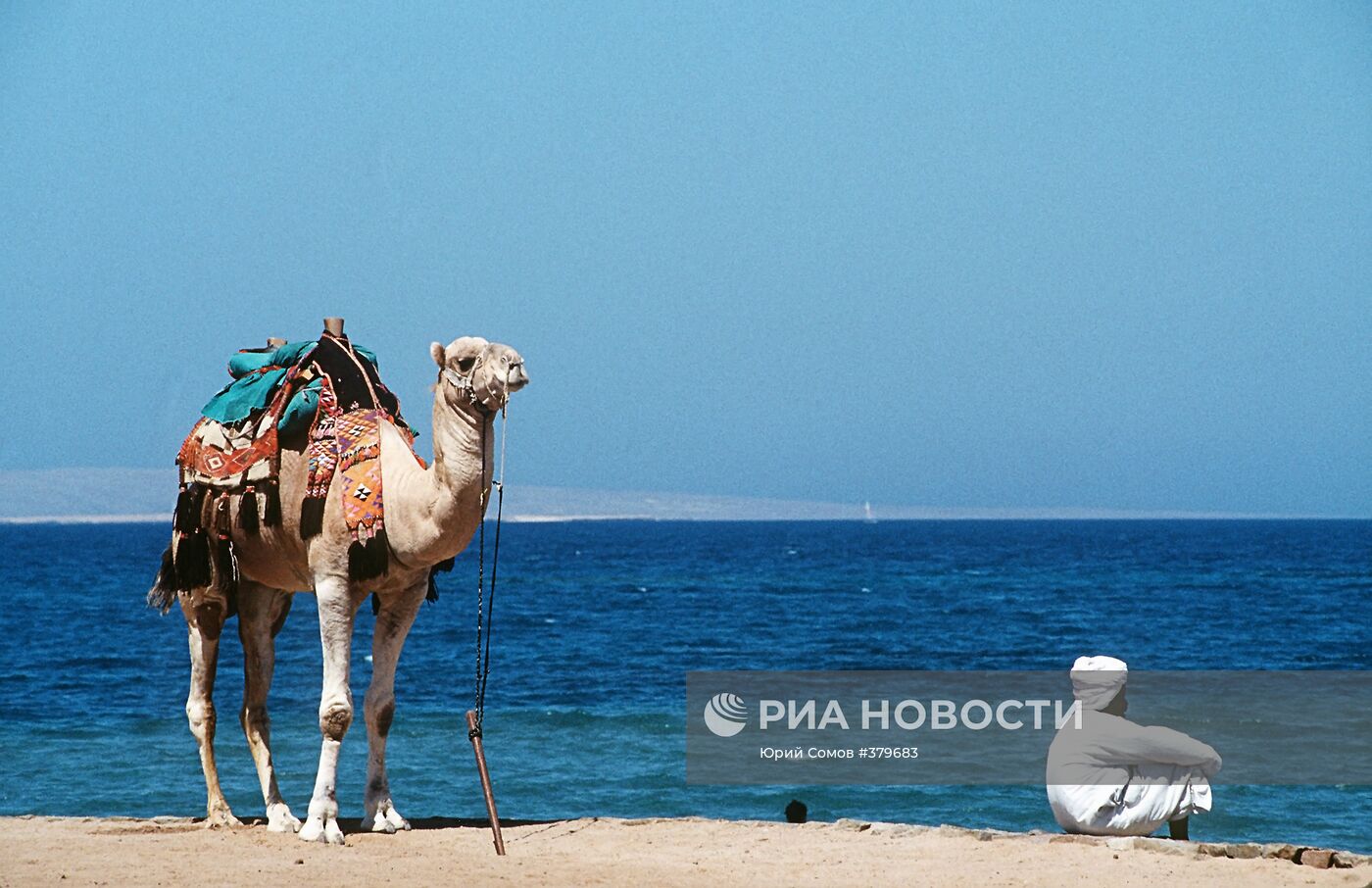 На берегу Красного моря в Египте