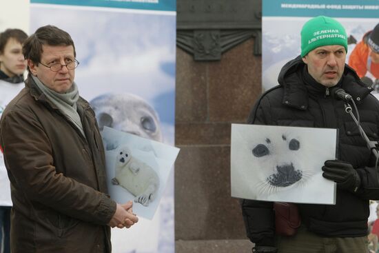 Акция в защиту тюленей на Белом море