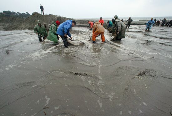 Добыча янтаря в береговой зоне Балтийского моря