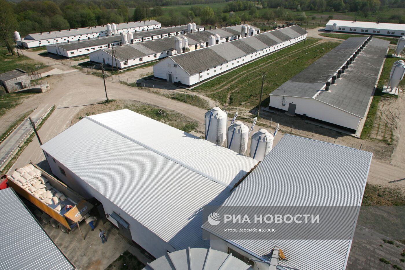 Свиноводческий комплекс в Калининградской области