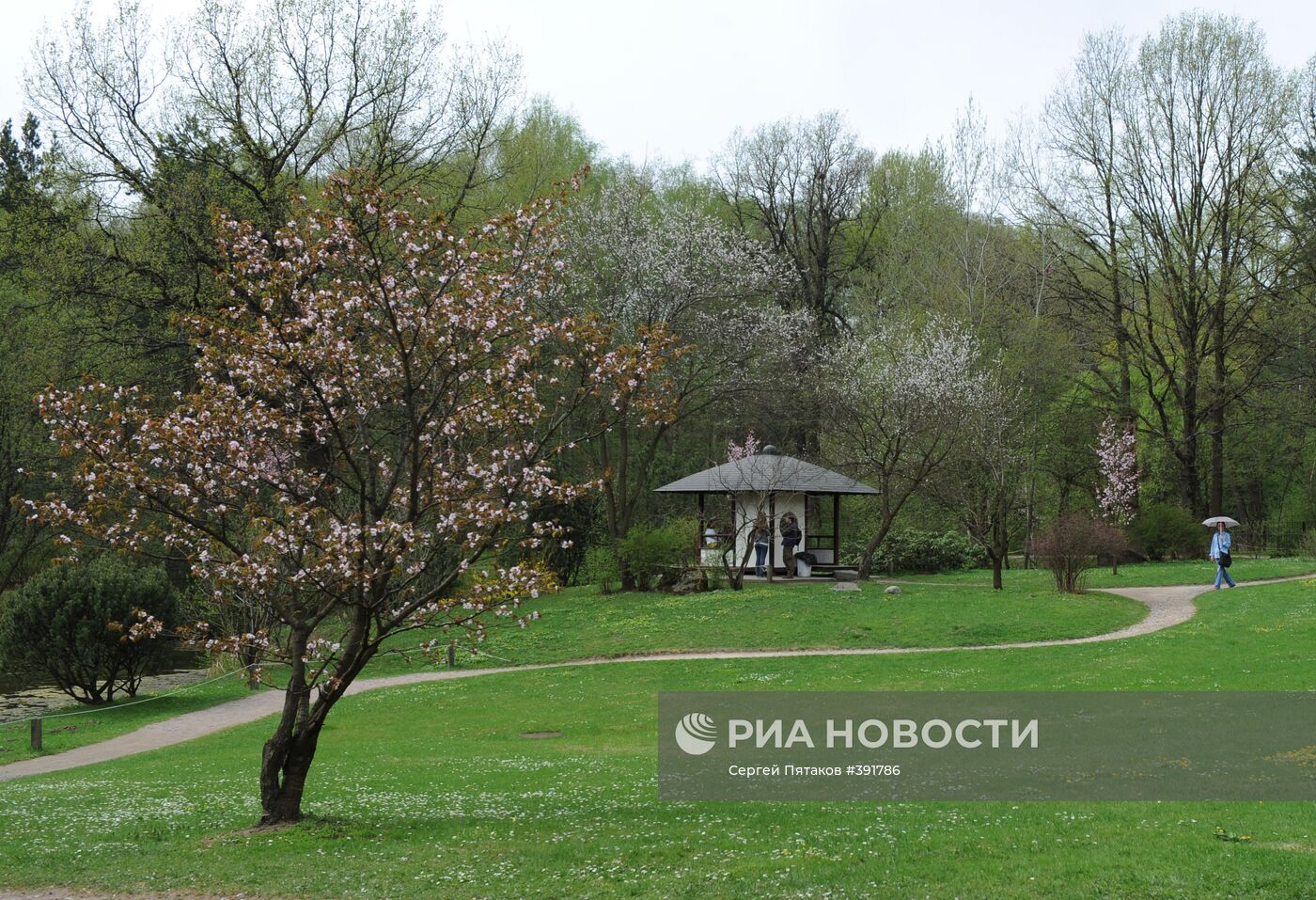 Главный ботанический сад им. Н.В.Цицина РАН