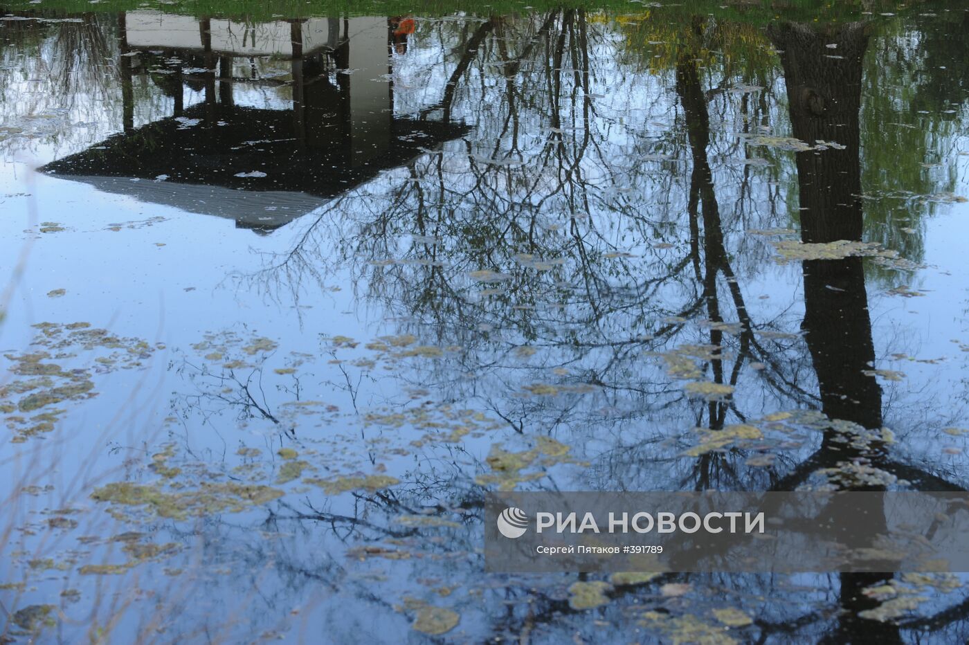 Главный ботанический сад им. Н.В.Цицина РАН